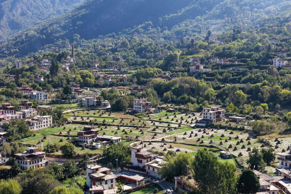 赛事、影视、演唱会……今年你跟着什么去旅行?(图3)