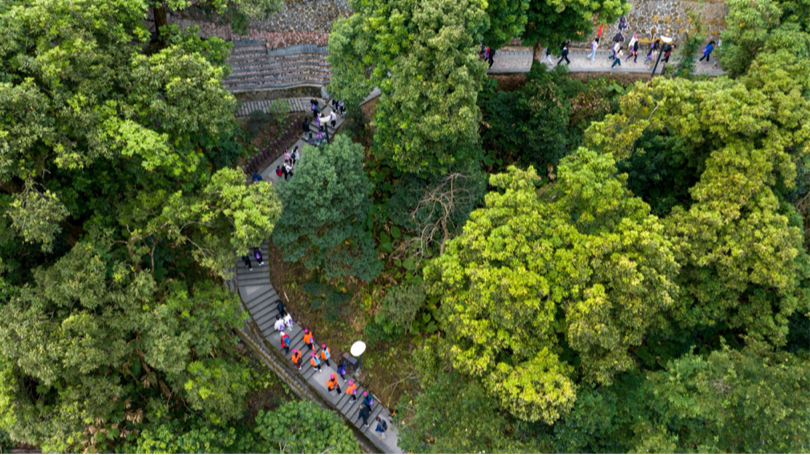 千人徒步共赴“马上夺魁”文脉之约!永春新春文旅盛宴启幕(图8)
