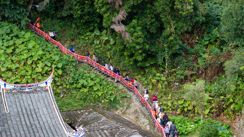 千人徒步共赴“马上夺魁”文脉之约!永春新春文旅盛宴启幕(图7)