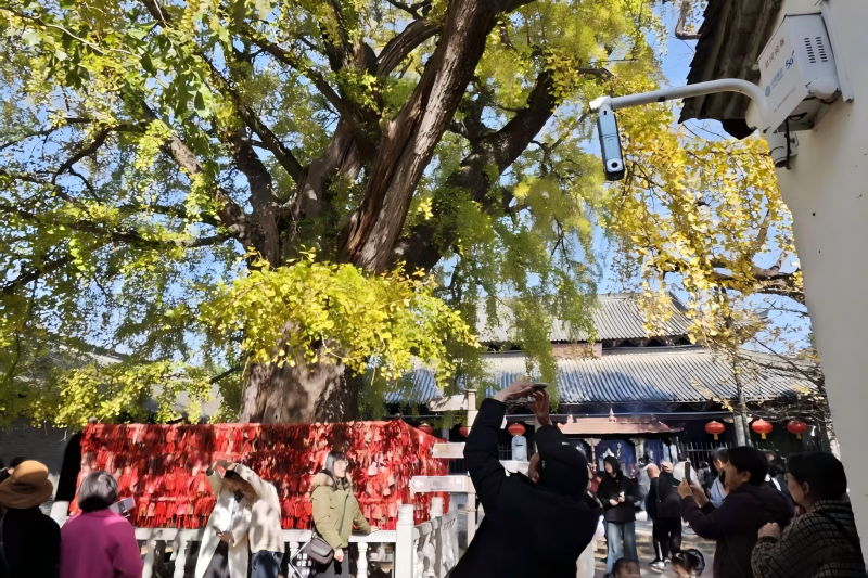 中国移动安徽公司:“智”护文旅盛宴 “数”绘消费新景(图2)