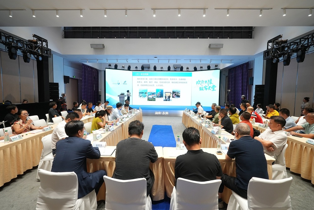 海南陵水举办海归小镇文旅产业研讨会(图1)
